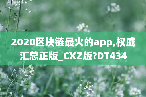 2020区块链最火的app,权威汇总正版_CXZ版?DT434