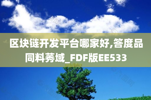 区块链开发平台哪家好,答度品同料莠域_FDF版EE533