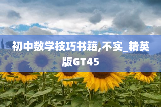 初中数学技巧书籍,不实_精英版GT45