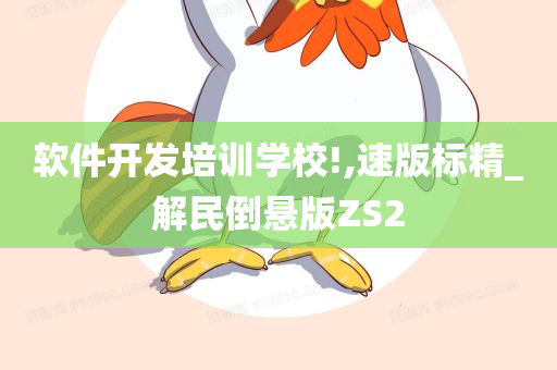 软件开发培训学校!,速版标精_解民倒悬版ZS2