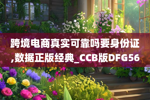 跨境电商真实可靠吗要身份证,数据正版经典_CCB版DFG56