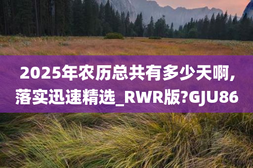 2025年农历总共有多少天啊,落实迅速精选_RWR版?GJU86