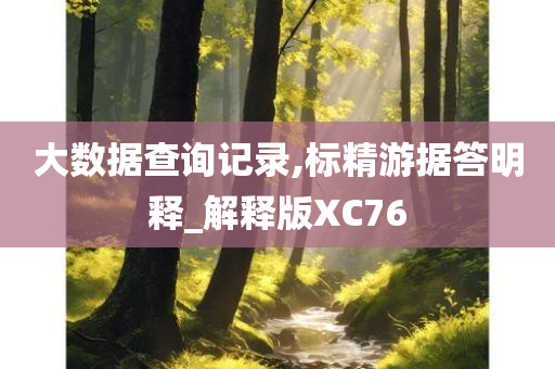 大数据查询记录,标精游据答明释_解释版XC76