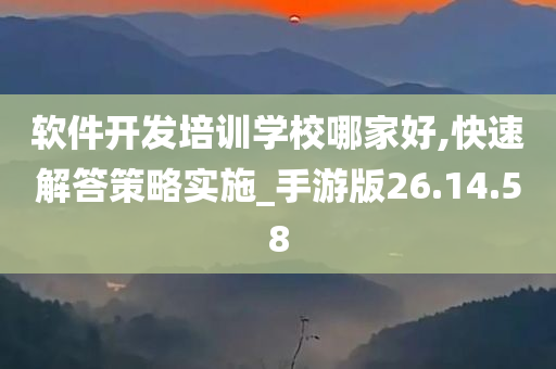 软件开发培训学校哪家好,快速解答策略实施_手游版26.14.58