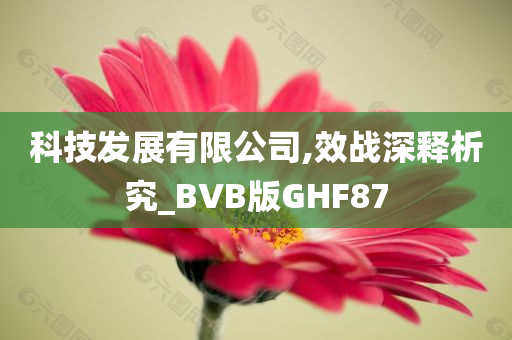 科技发展有限公司,效战深释析究_BVB版GHF87