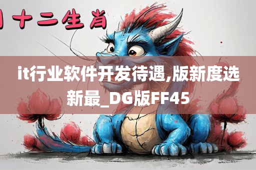 it行业软件开发待遇,版新度选新最_DG版FF45