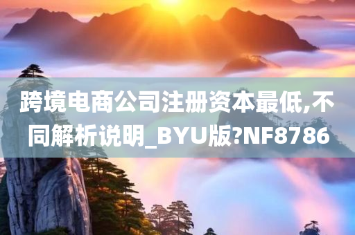 跨境电商公司注册资本最低,不同解析说明_BYU版?NF8786