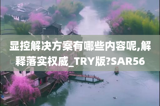 显控解决方案有哪些内容呢,解释落实权威_TRY版?SAR56