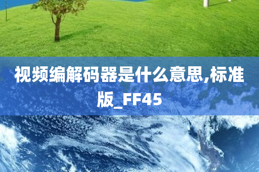 视频编解码器是什么意思,标准版_FF45