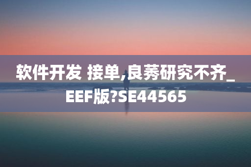 软件开发 接单,良莠研究不齐_EEF版?SE44565