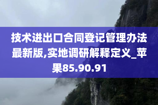 技术进出口合同登记管理办法最新版,实地调研解释定义_苹果85.90.91