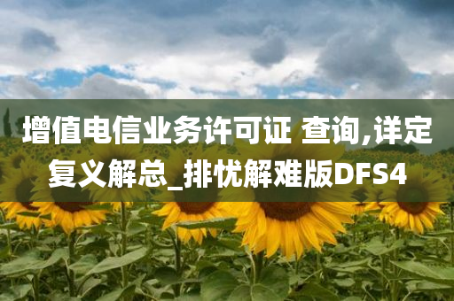 增值电信业务许可证 查询,详定复义解总_排忧解难版DFS4