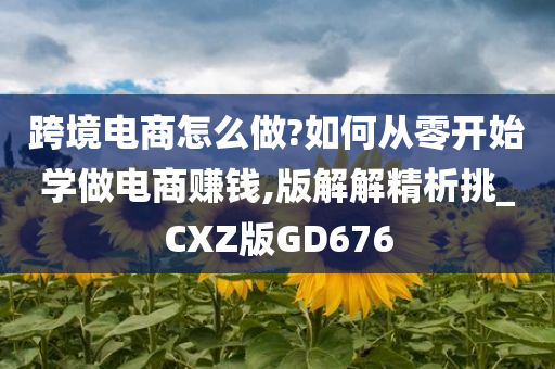 跨境电商怎么做?如何从零开始学做电商赚钱,版解解精析挑_CXZ版GD676