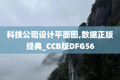 科技公司设计平面图,数据正版经典_CCB版DFG56