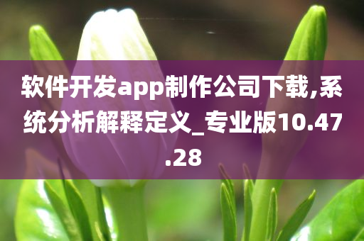 软件开发app制作公司下载,系统分析解释定义_专业版10.47.28