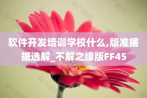 软件开发培训学校什么,版准据据选解_不解之缘版FF45