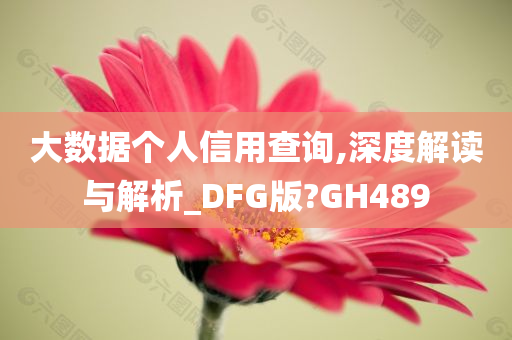 大数据个人信用查询,深度解读与解析_DFG版?GH489