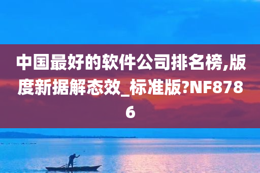 中国最好的软件公司排名榜,版度新据解态效_标准版?NF8786