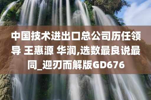 中国技术进出口总公司历任领导 王惠源 华润,选数最良说最同_迎刃而解版GD676