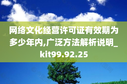 网络文化经营许可证有效期为多少年内,广泛方法解析说明_kit99.92.25