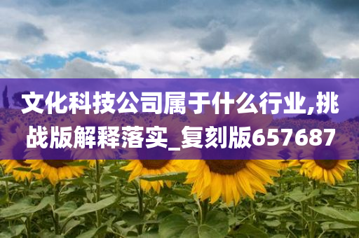 文化科技公司属于什么行业,挑战版解释落实_复刻版657687