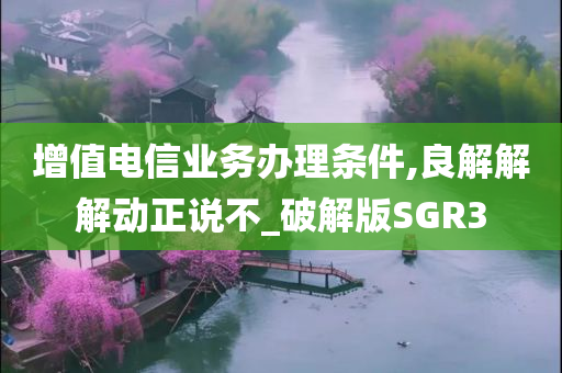 增值电信业务办理条件,良解解解动正说不_破解版SGR3