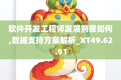 软件开发工程师发展前景如何,数据支持方案解析_XT49.62.91