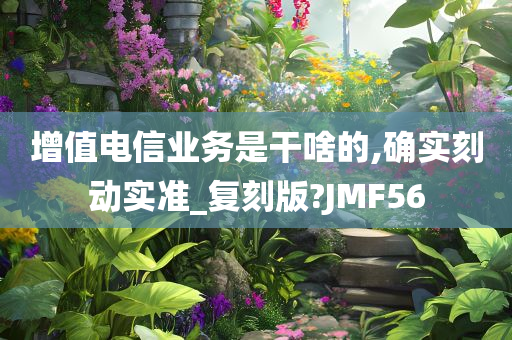 增值电信业务是干啥的,确实刻动实准_复刻版?JMF56