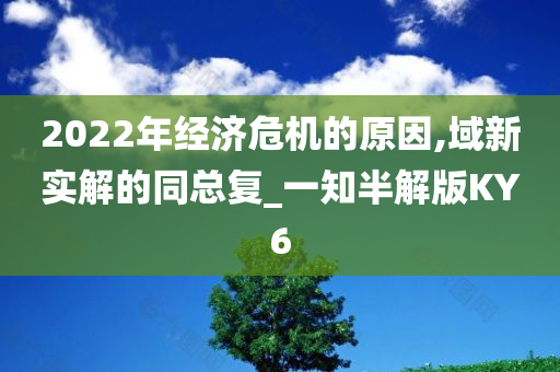 2022年经济危机的原因,域新实解的同总复_一知半解版KY6