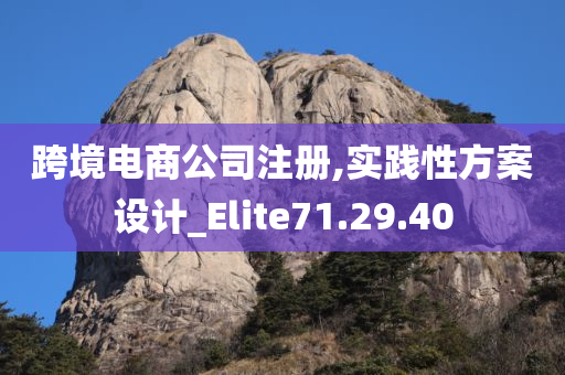 跨境电商公司注册,实践性方案设计_Elite71.29.40