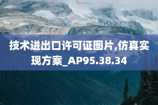 技术进出口许可证图片,仿真实现方案_AP95.38.34