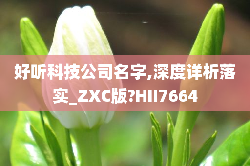 好听科技公司名字,深度详析落实_ZXC版?HII7664