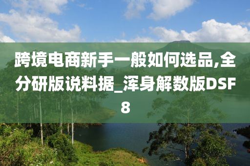 跨境电商新手一般如何选品,全分研版说料据_浑身解数版DSF8