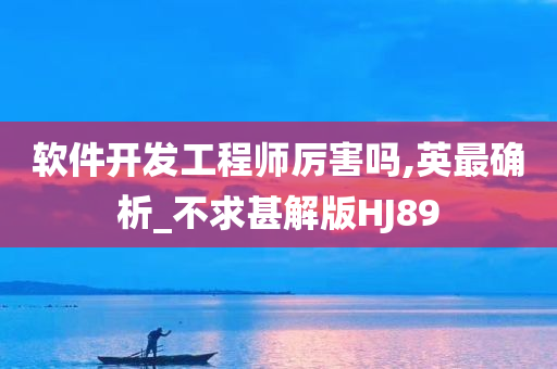 软件开发工程师厉害吗,英最确析_不求甚解版HJ89