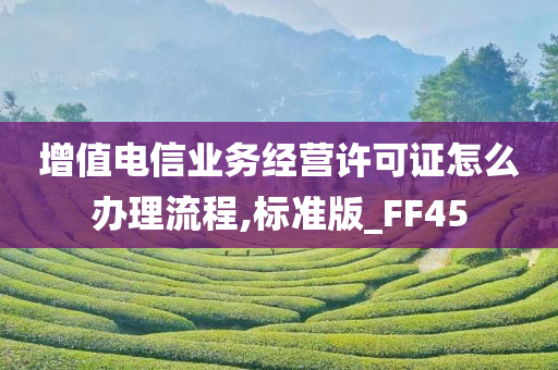 增值电信业务经营许可证怎么办理流程,标准版_FF45