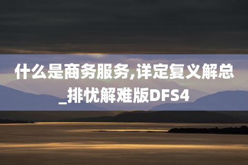 什么是商务服务,详定复义解总_排忧解难版DFS4