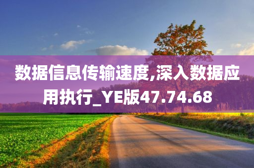 数据信息传输速度,深入数据应用执行_YE版47.74.68