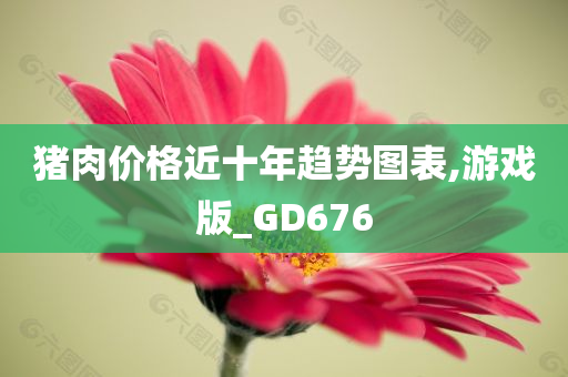 猪肉价格近十年趋势图表,游戏版_GD676