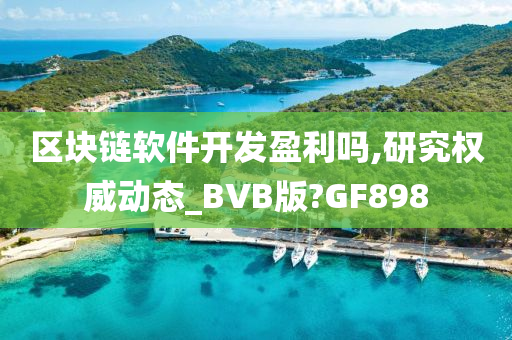 区块链软件开发盈利吗,研究权威动态_BVB版?GF898