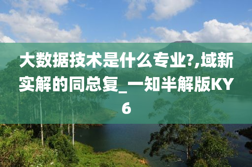 大数据技术是什么专业?,域新实解的同总复_一知半解版KY6