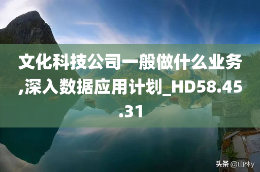 文化科技公司一般做什么业务,深入数据应用计划_HD58.45.31