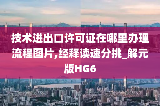 技术进出口许可证在哪里办理流程图片,经释读速分挑_解元版HG6