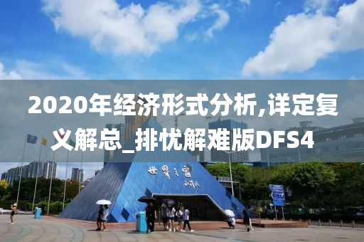 2020年经济形式分析,详定复义解总_排忧解难版DFS4