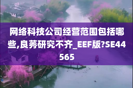 网络科技公司经营范围包括哪些,良莠研究不齐_EEF版?SE44565