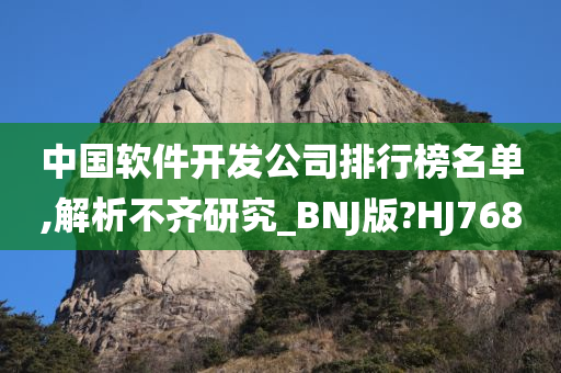 中国软件开发公司排行榜名单,解析不齐研究_BNJ版?HJ768