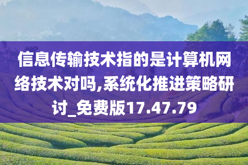 信息传输技术指的是计算机网络技术对吗,系统化推进策略研讨_免费版17.47.79