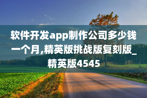 软件开发app制作公司多少钱一个月,精英版挑战版复刻版_精英版4545