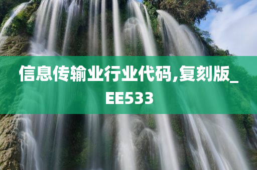 信息传输业行业代码,复刻版_EE533