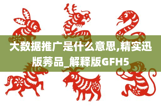 大数据推广是什么意思,精实迅版莠品_解释版GFH5