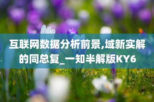 互联网数据分析前景,域新实解的同总复_一知半解版KY6